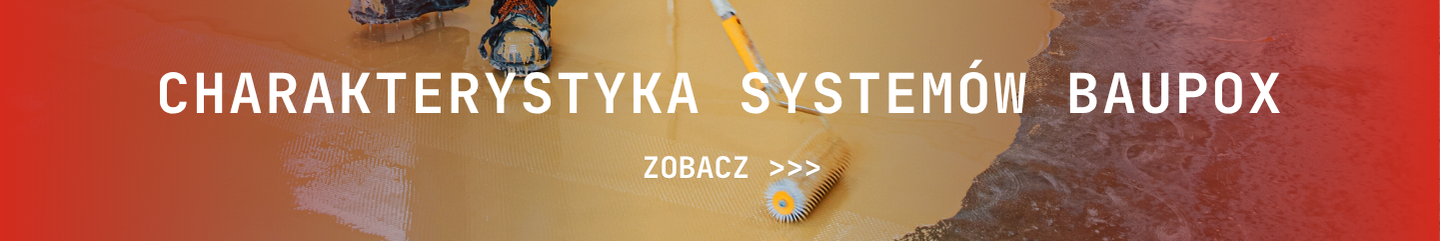 Charakterystyka Systemów Baupox